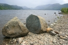 Loch Monster - IN SELENA